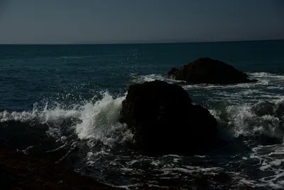 DSC_2596 (Large).JPG